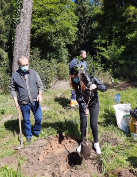 113873 arte 113873 arte