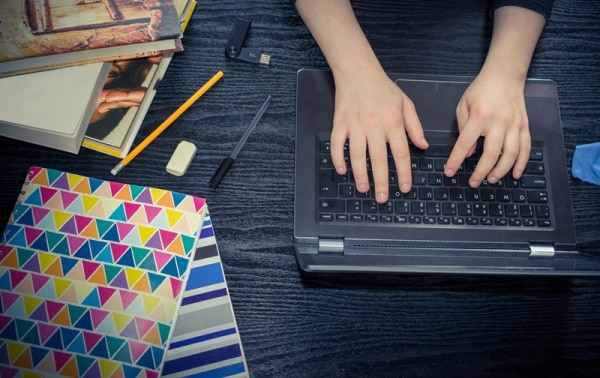 113926 comportamento