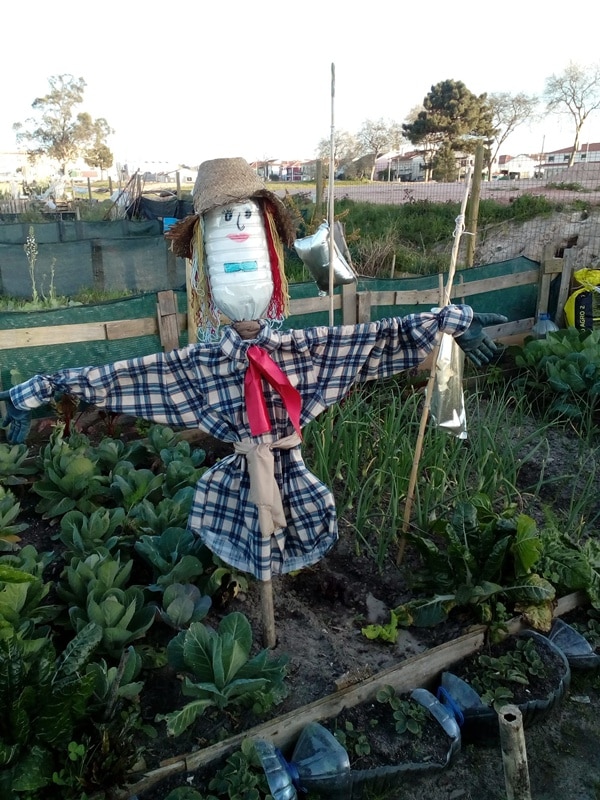 113946-hortas-urbanas