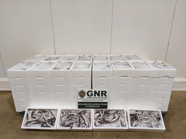 113975 pescada 113975 pescada