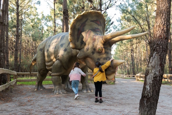 114032 dino 114032 dino