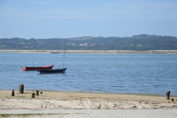 114042 tribunal contas 114042 tribunal contas