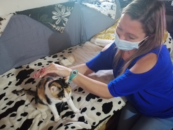 114069 reiki 114069 reiki