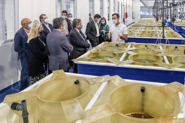 114091 biomarinho 114091 biomarinho