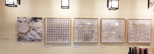 114289 antero 114289 antero