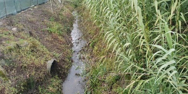 114656 poluio 114656 poluio