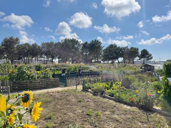 114800 assembleia 1 114800 assembleia 1