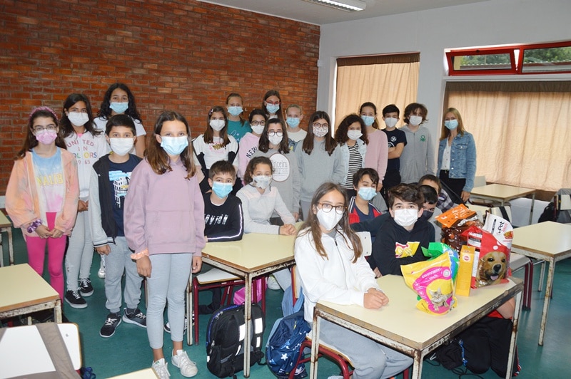 114813 animais 1 114813 animais 1