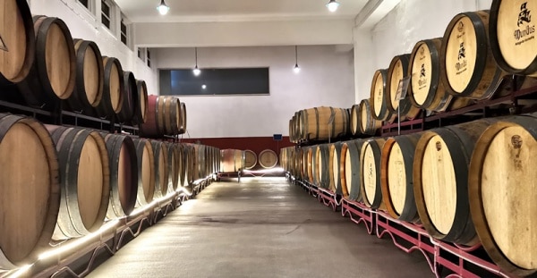 115104 adega 115104 adega