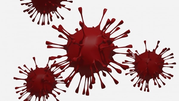 115135 covid 115135 covid