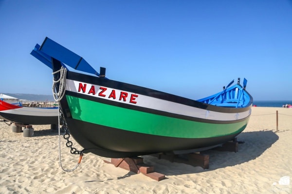 115247 mimosa 115247 mimosa