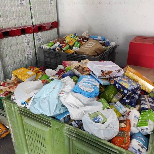 115291 protocolo 115291 protocolo