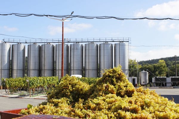 adega da vermelha adega da vermelha