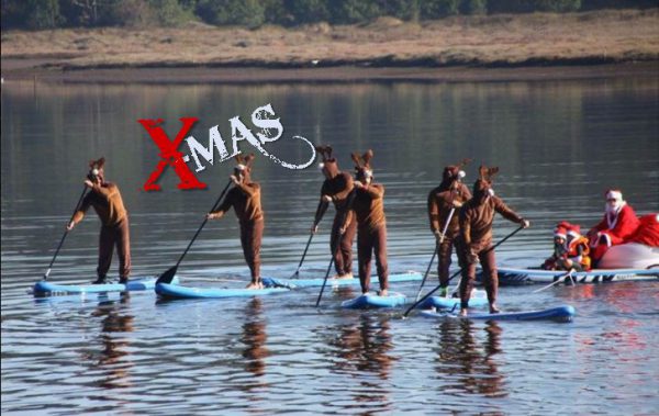 254667534 302865895175433 8985301313489650707 n