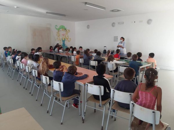 alimentacao alimentacao