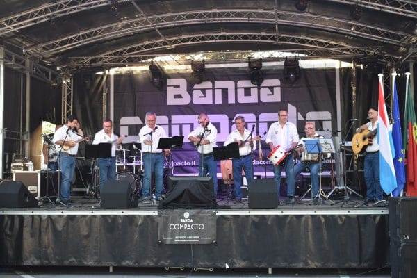 cavaquinhos cavaquinhos