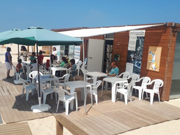 biblioteca biblioteca