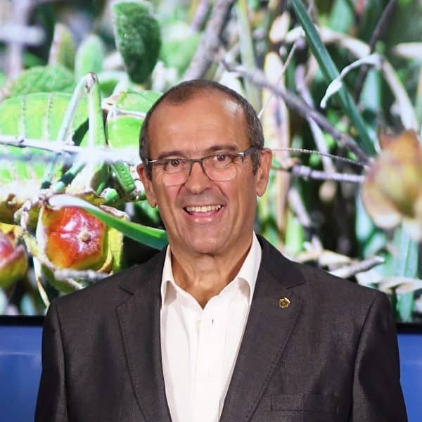 entrevista cadaval entrevista cadaval