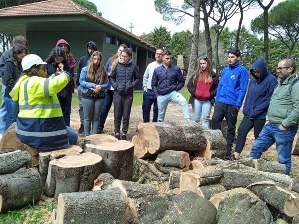 florestas 1 florestas 1