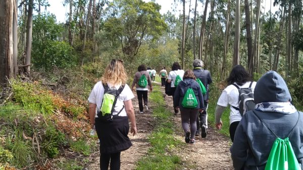 caminhada 1 caminhada 1