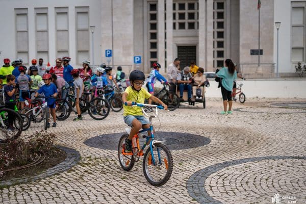 kidicaldas1 kidicaldas1