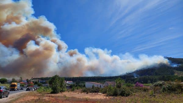 incendiario 1 incendiario 1