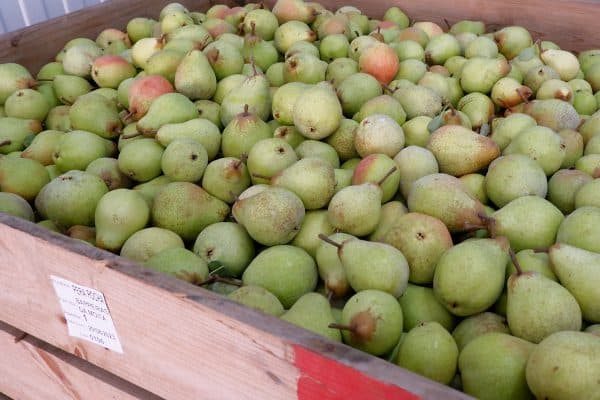 mocaoperarocha mocaoperarocha