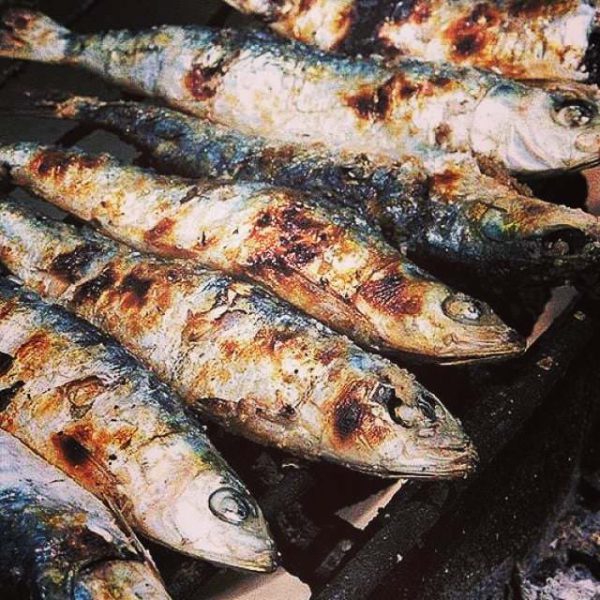 sardinhada