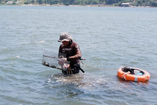 lagoareuniao2 lagoareuniao2