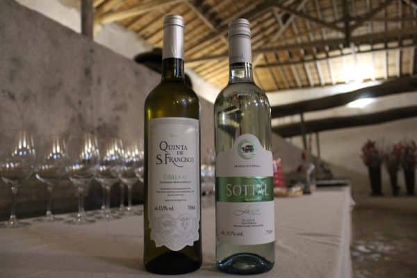 419312249 722670190003816 6974940376287614862 n