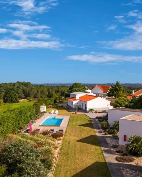 Flamboyant1 Flamboyant1