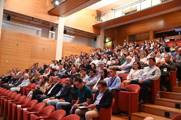 empresarial empresarial