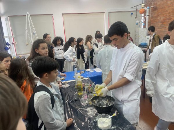 D Joao II 1 D Joao II 1