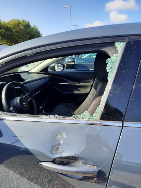 vandalismo1 vandalismo1