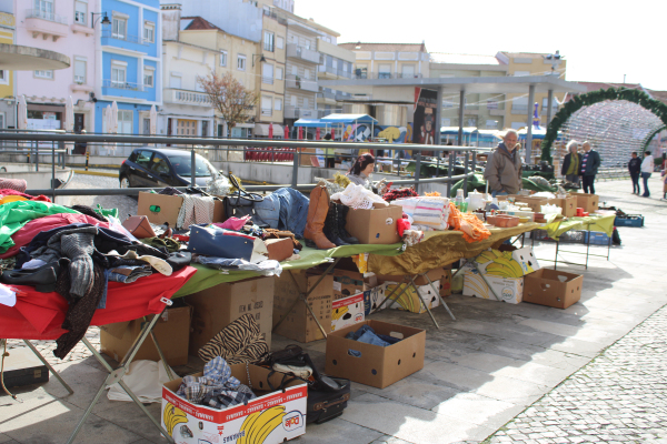 traquitanas1 traquitanas1