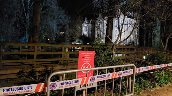 aves1 scaled aves1 scaled