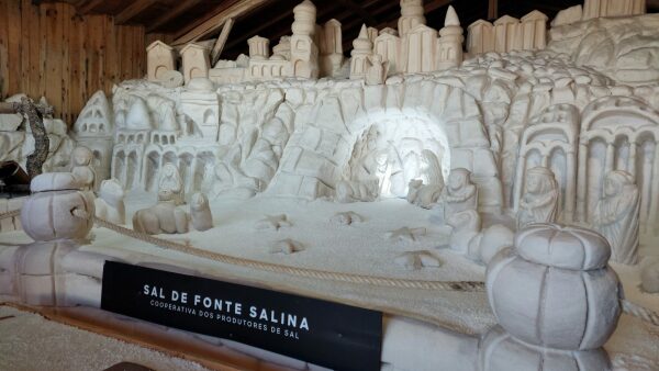 sal scaled sal scaled