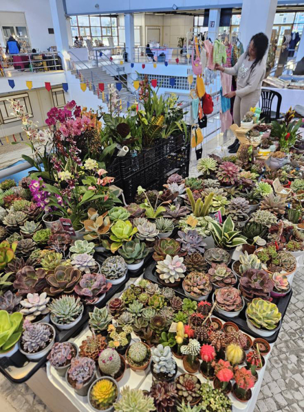 Artesanato1 Artesanato1