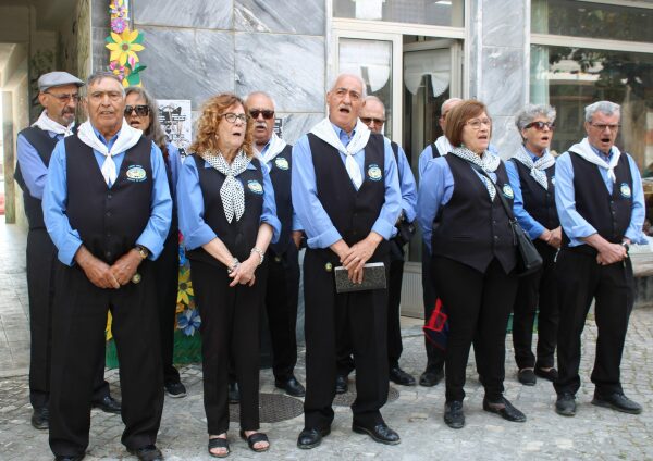 ama scaled ama scaled