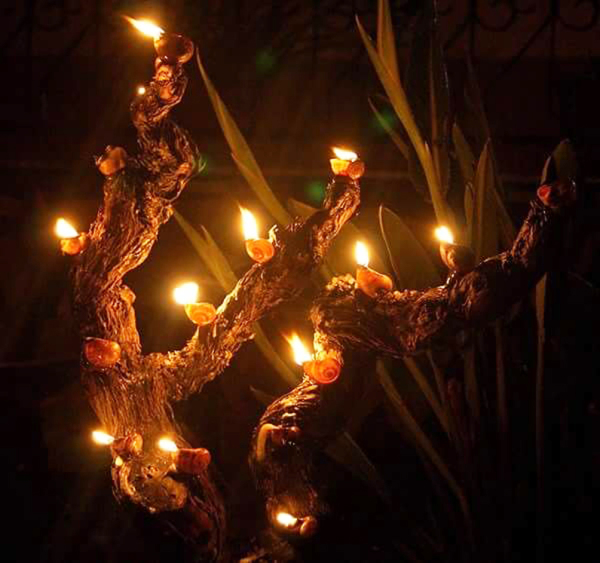 luminarias luminarias