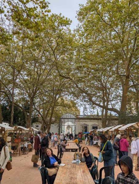 eco festival1 eco festival1