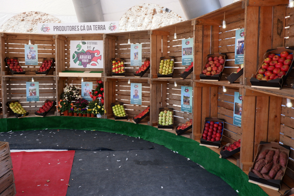 festivalvidais3 festivalvidais3