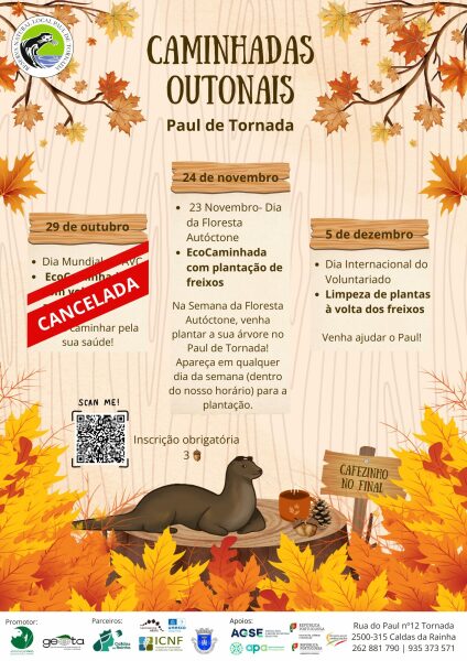 Caminhadas outonais paul Caminhadas outonais paul