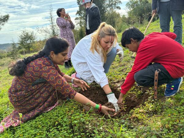 plantar amor plantar amor