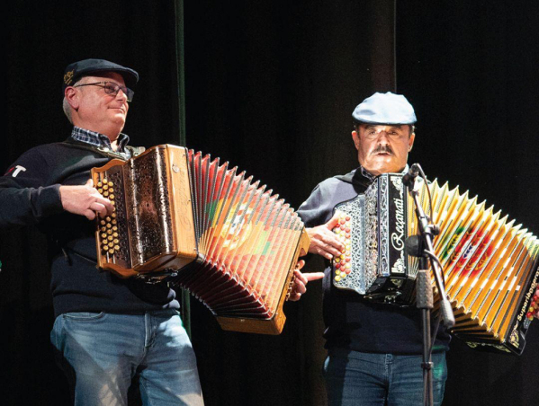 concertinas concertinas