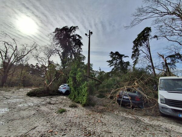 mautempocaldascidade 3