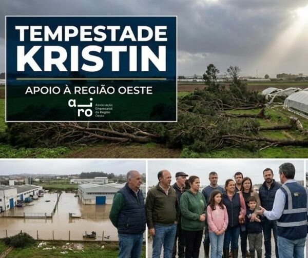 pag 13 tempestade regional 1