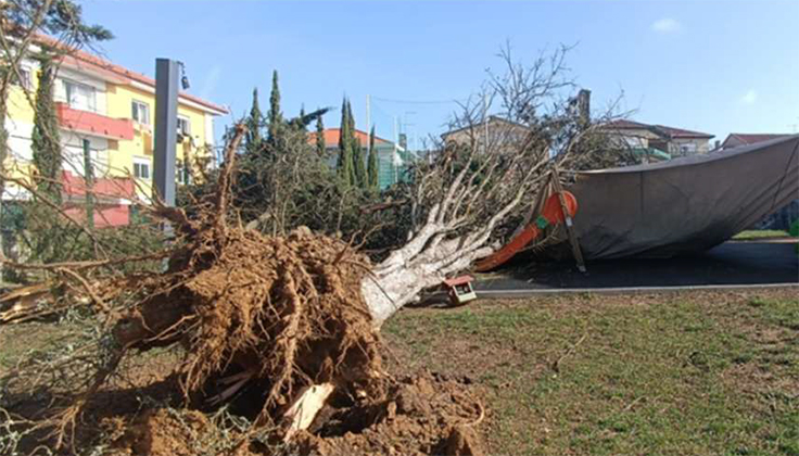 pag-4-tempestade-caldas-2