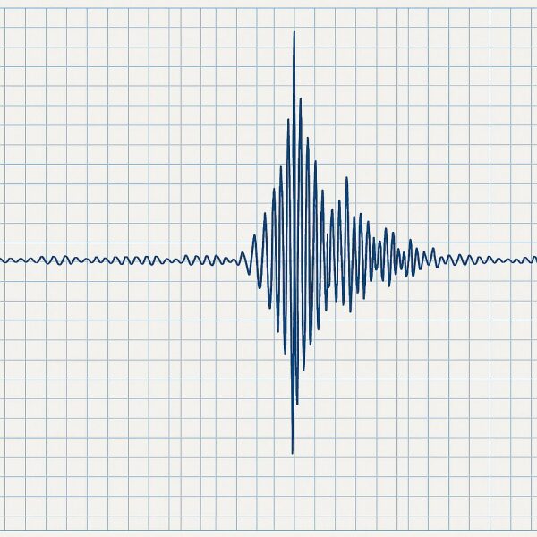 um grafico sismico t